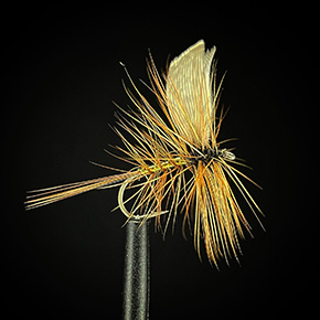 Wickham Fancy Fly tied by Alex Nava