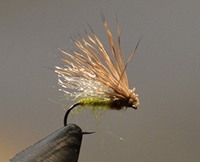 Fly by Ashley Strutt England