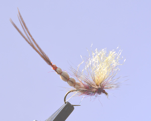 Ashley Strutt at The Irish Fly Fair 2025