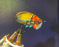 Fly by Bent Arild Mathiesen