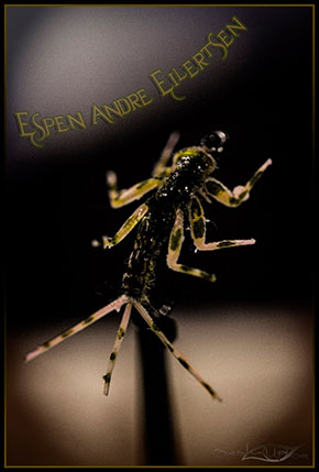 Espen Andrè Eilertsen at the 2025 irish Fly Fair