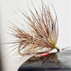 Flies by By George Burdess Fly Dresser tying at The Irish Fly Fair 2025