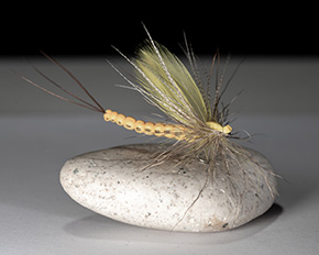 Fly tied by Guido Scala Italy 2025