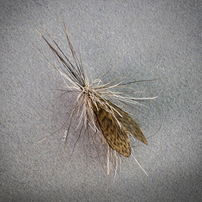 Fly tied by Guido Scala Italy 2025