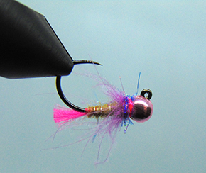 Joseph Conway at The Irish Fly Fair 2025