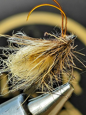 Tied by Laurent Vallée