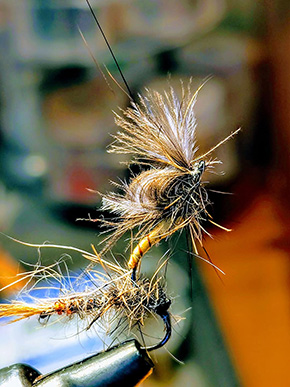 Tied by Laurent Vallée