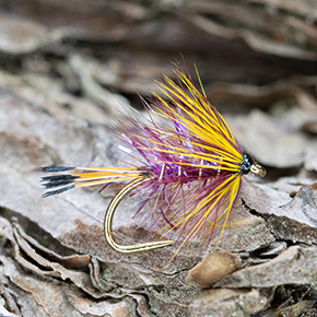 Flies by Robert MacDonald-Lewis Fly Dresser tying at The Irish Fly Fair 2024