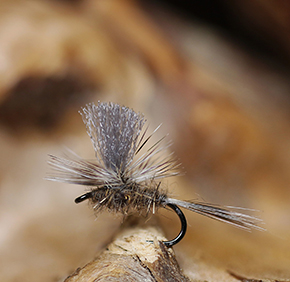 Fly Dresser Stefan Larsson