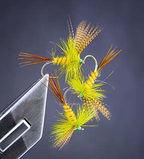 Fly by Stephen Smalley England